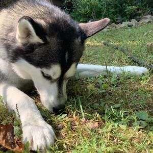 Meet your Posher, Niki